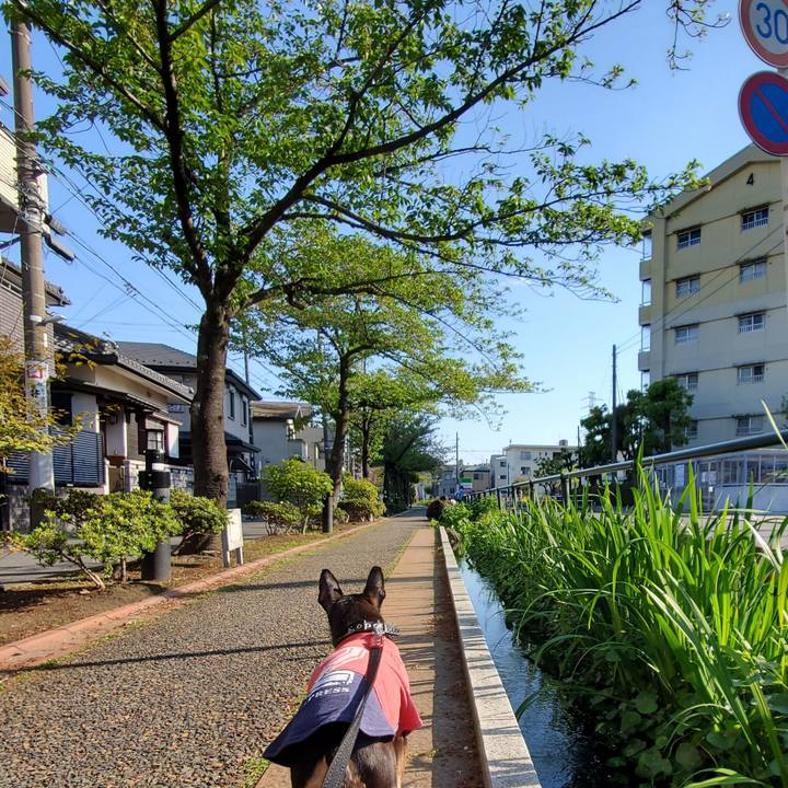 A7f1e54b 11c7 4d21 b84c 083304fb12a2 1681035264487