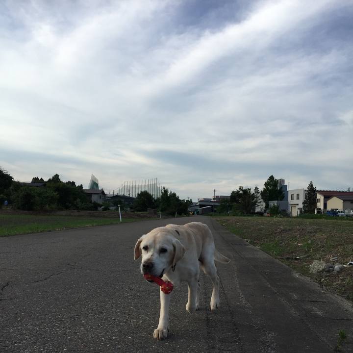 A7f1f1a3 19eb 49de b58e 71e45cfaae6b 1530438641981