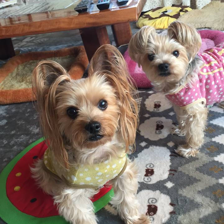 A7f1f537 9fe8 438e b14a e513701ea224 1727431261551