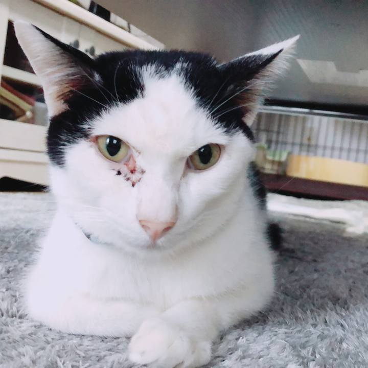 A7f1fcb5 20c0 4a00 bd2f ea243a0a1b5f 1554848981761