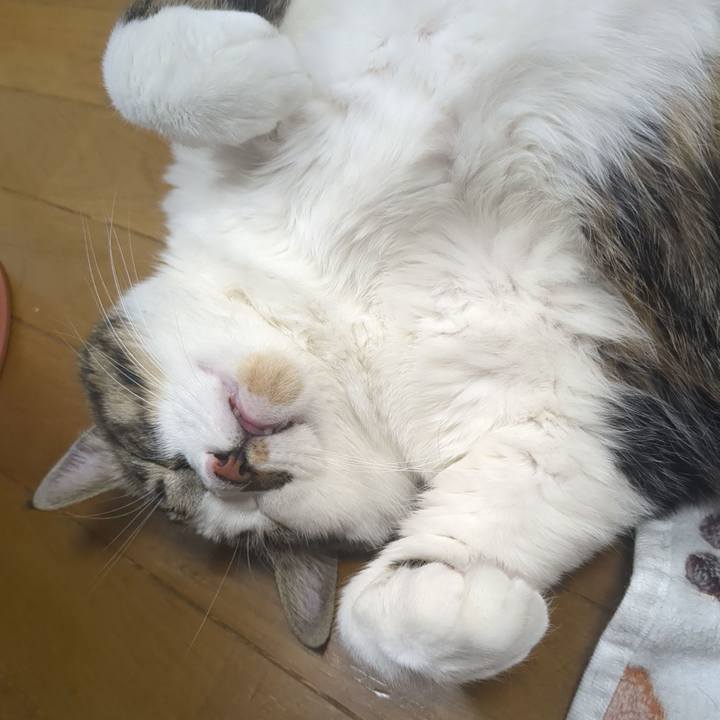 A7f20189 f338 4480 bce6 7f10b4d777ee 1766110301031