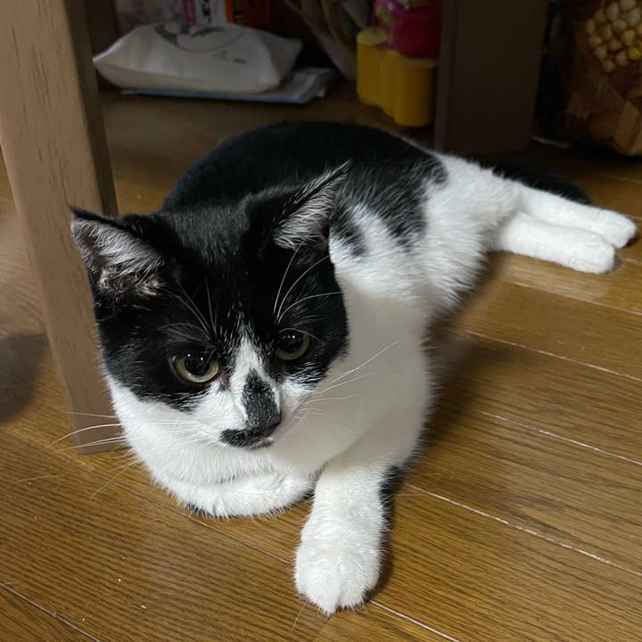 A7f22501 b3ac 485c bcb6 a8173f2b38a6 1754607318644