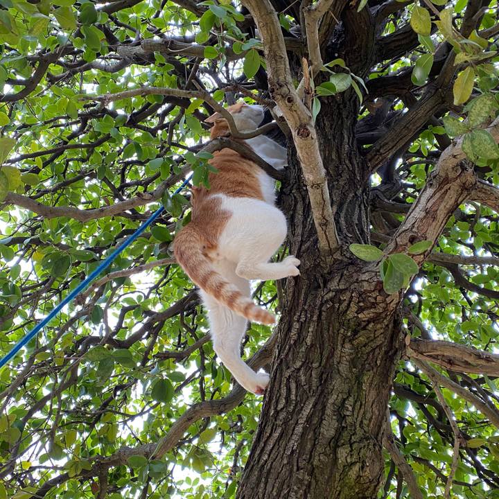 A7f23211 ab5c 43a2 afc1 c128aea55e54 1583629354953