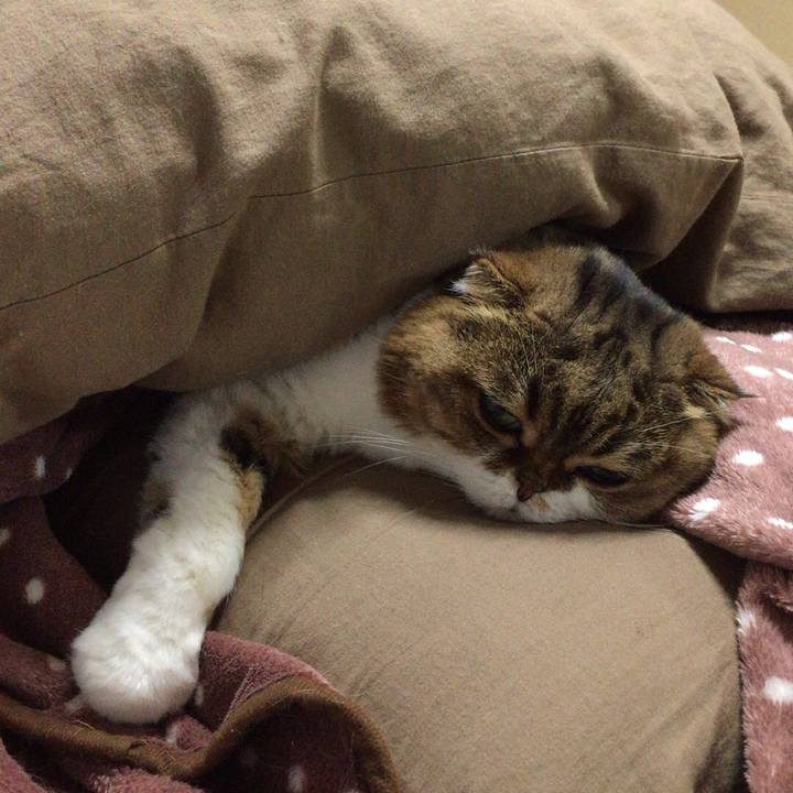 A7f23df5 d7c0 413f 9489 673c5c3fa95f 1507966182786