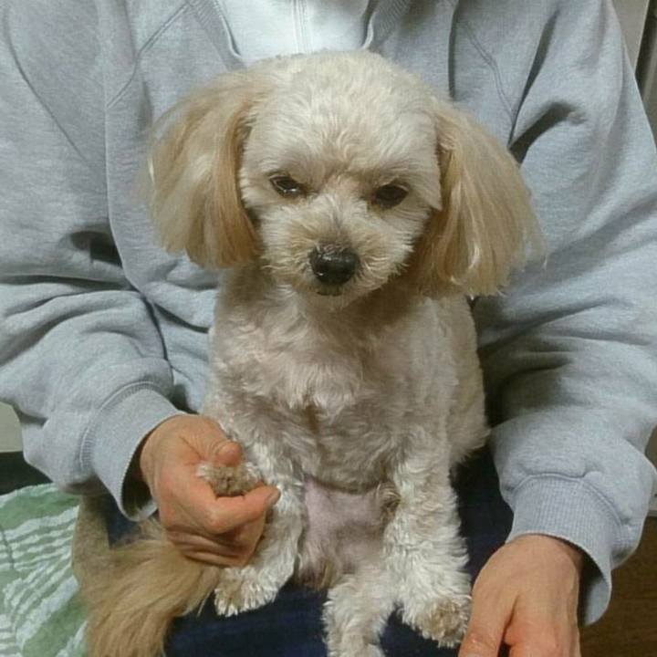 A7f2531f a822 4c71 8af4 41f40b33b1ca 1509793920044