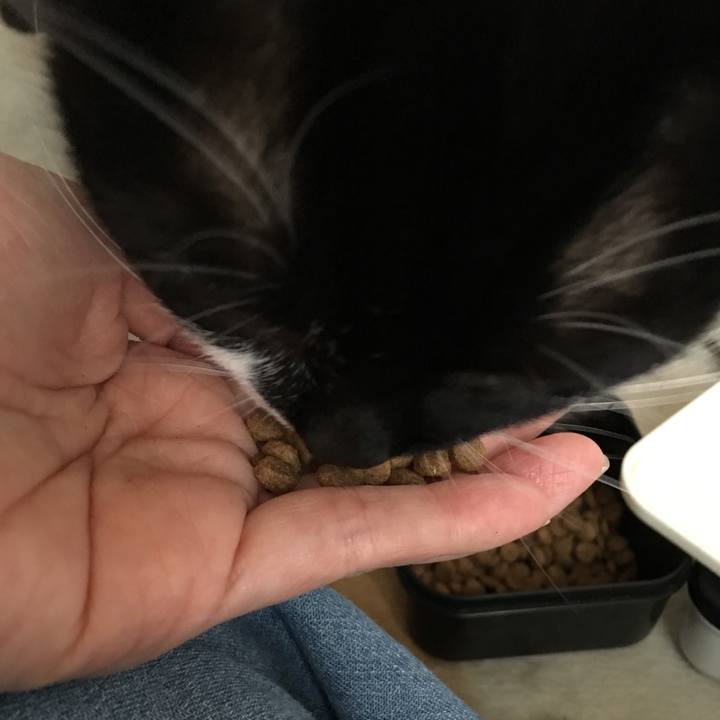 A7f273d6 6324 4977 8d38 e4173fef82ec 1525942814765