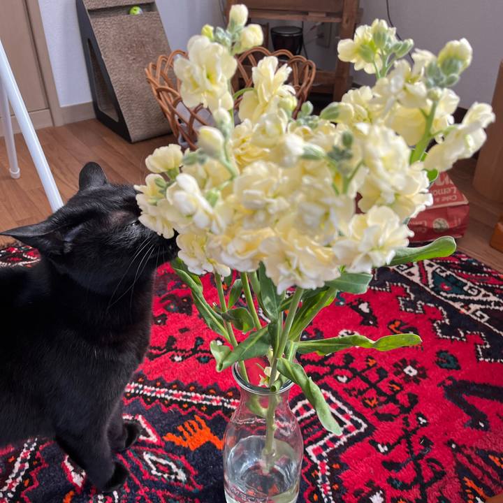 A7f2b579 f938 4bc7 9187 a889f2ccf267 1678319546043