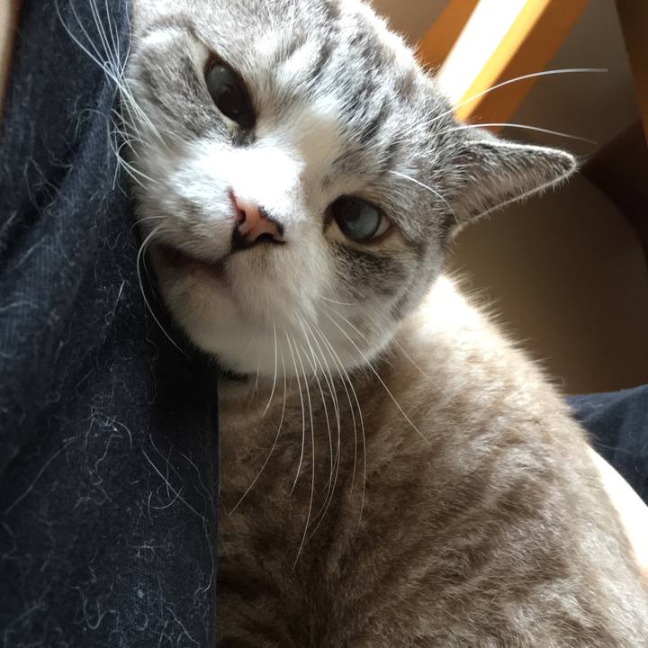 A7f2baf3 af16 4b71 90d3 0956932fe4d0 1563585749337