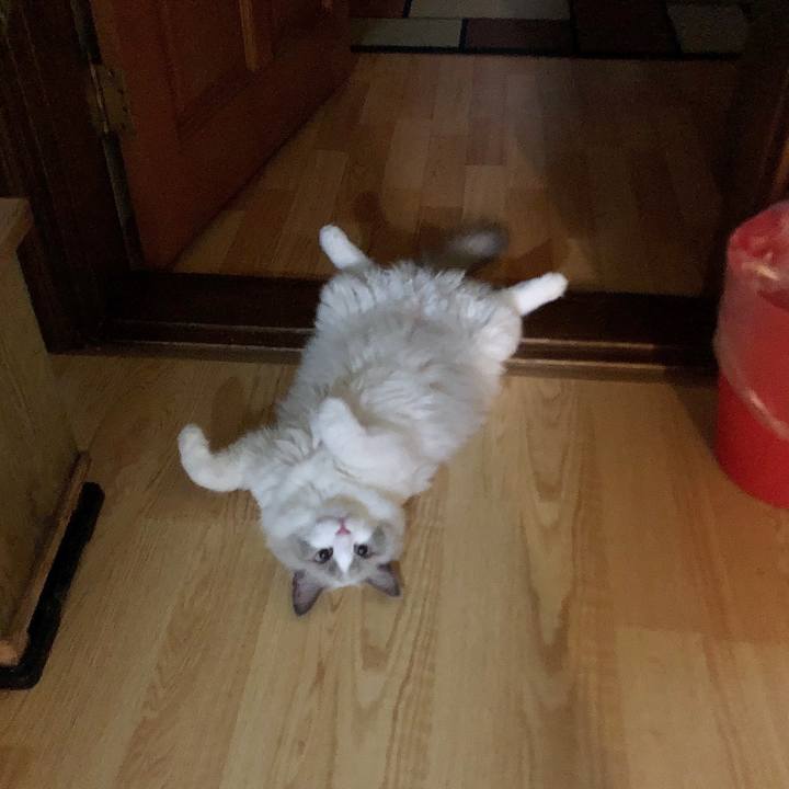 A7f2d7ae 45d2 4ce7 bdfb 806be21a917c 1600000614103