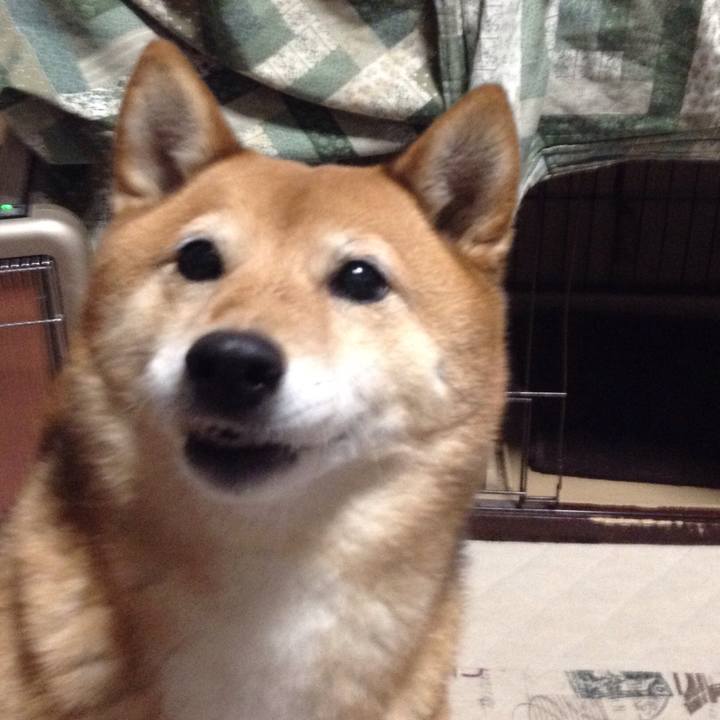 A7f3100d a00a 4e0e ba43 1b3a712d0dae 1517474076251