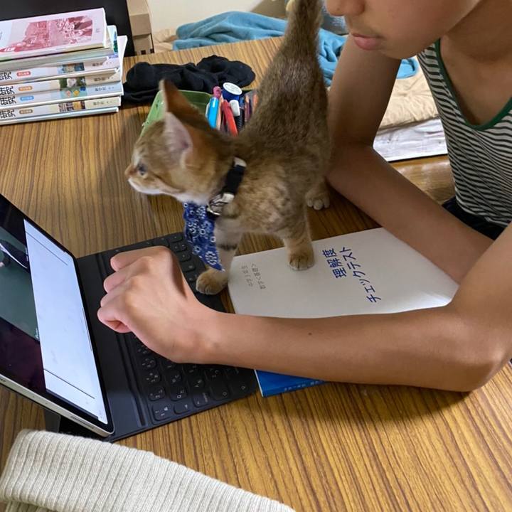 A7f36187 88d5 4ad8 a291 03060d96f90a 1592405601630