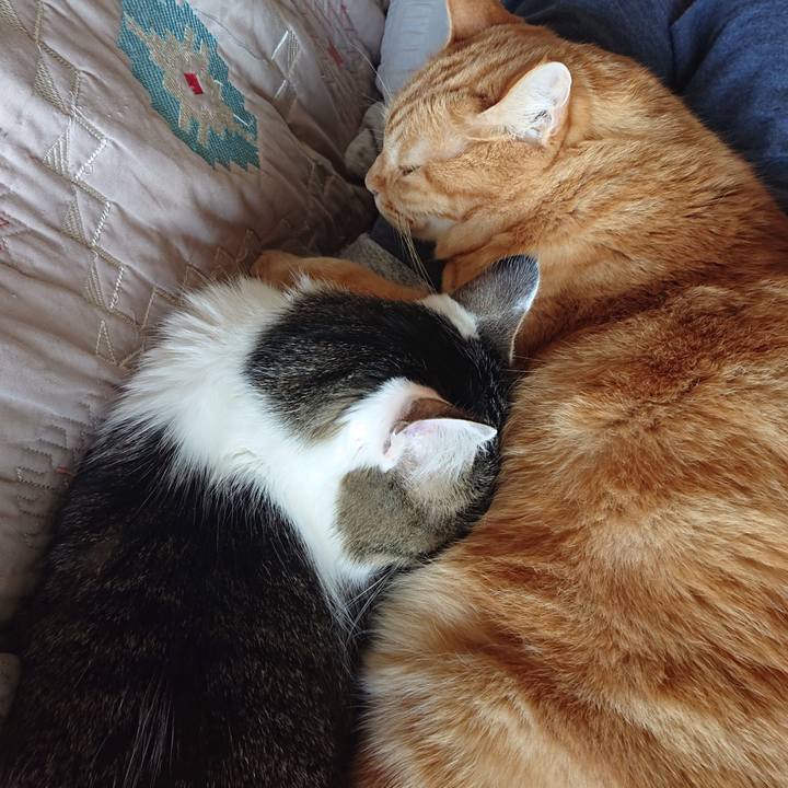 A7f37cdb 6e1b 43ce aff1 d6b9d6c91b0e 1616056853761