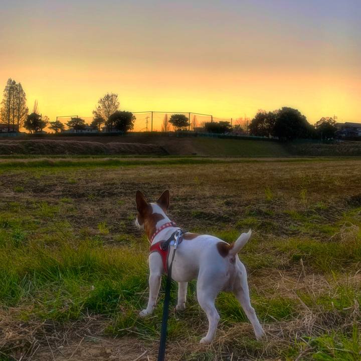 A7f3dd12 d895 48ad b850 4745a470f607 1544869942134