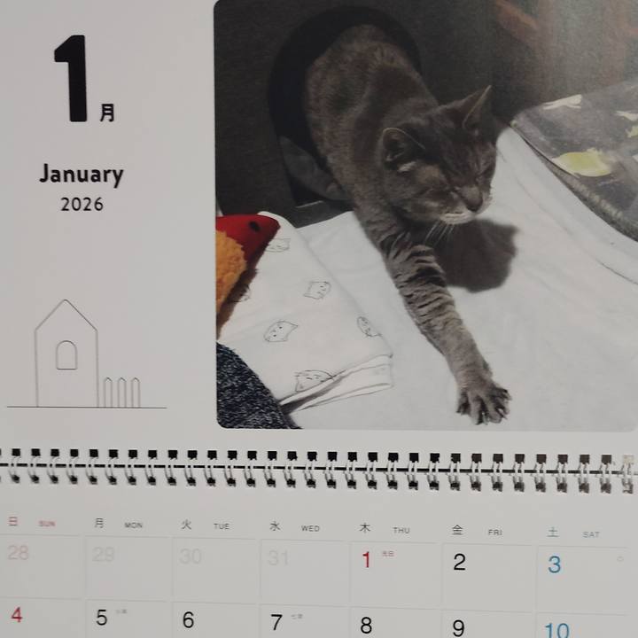 A7f3f1d7 8a00 4279 8ced 3ec1f8b91d4d 1767214349739