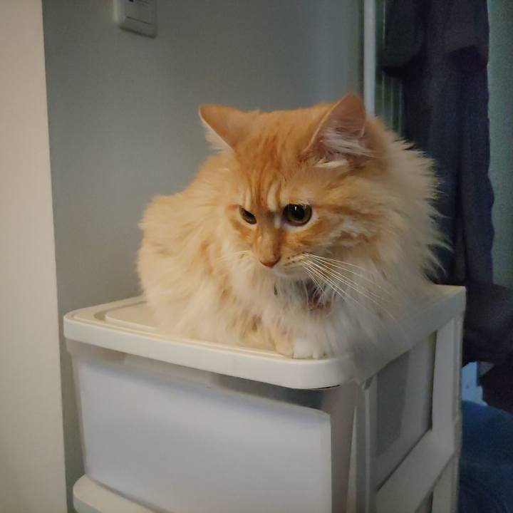 A7f42148 a099 49e4 8ce6 263f24145e00 1655194377782