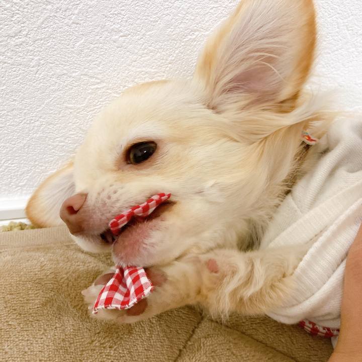 A7f44692 c518 4717 a1f8 0a6648fb5bce 1613707031897