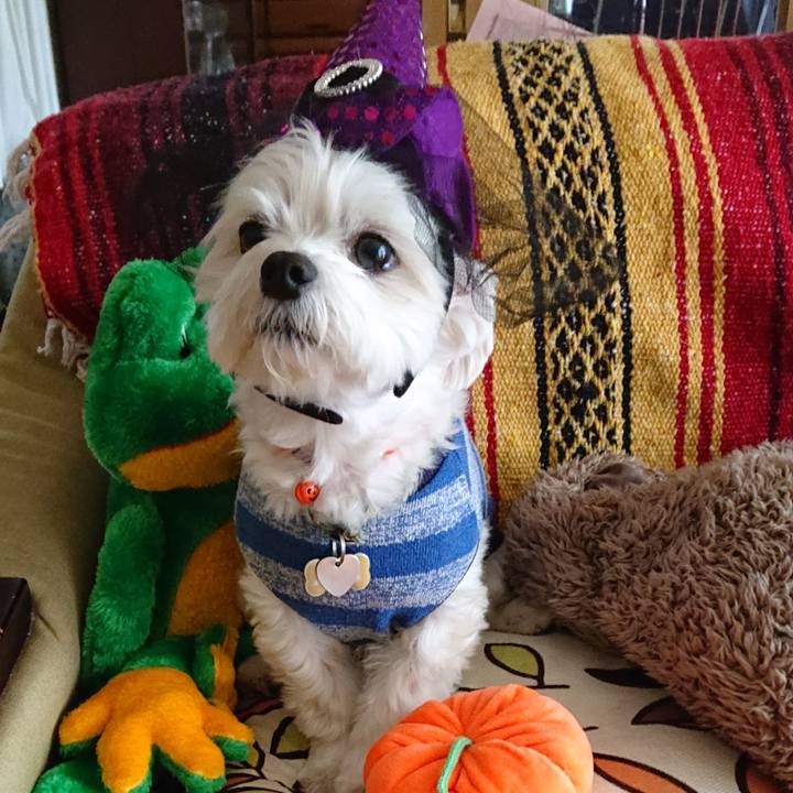 A7f44ec6 4ab9 4652 9990 6228e2d5f872 1540953939335