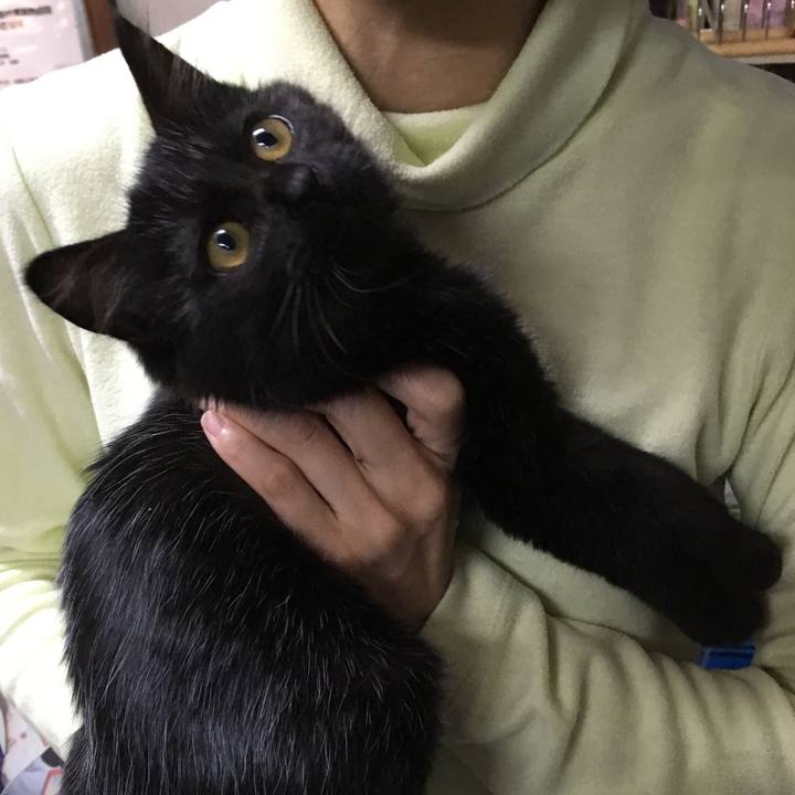 A7f45384 4bcd 4d4e a34e 24d9bb7fe4bd 1540543427193