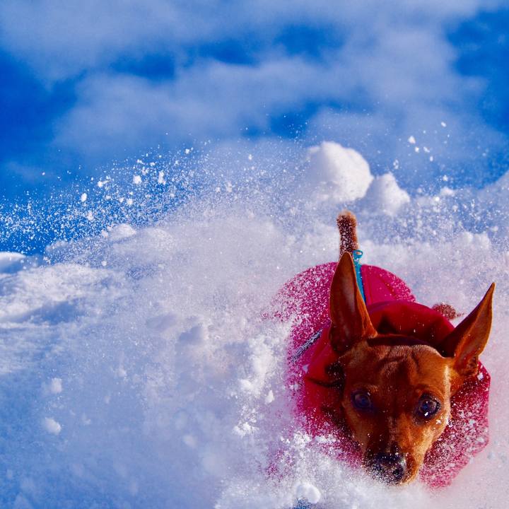 A7f47943 1357 474d 84a0 76c75e169073 1512871030257