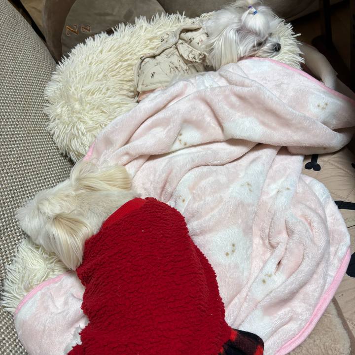 A7f49aa9 542d 482d ba67 b526269f1127 1736947350441