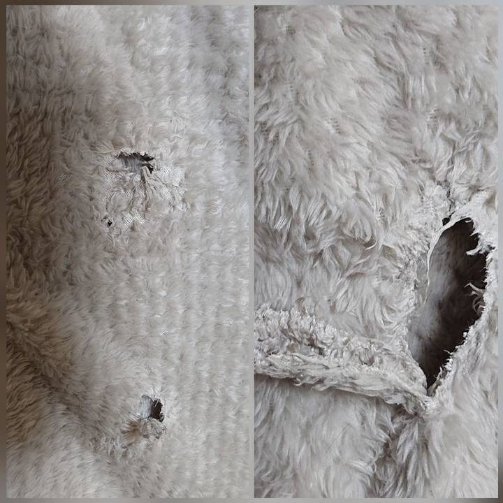 A7f4acdc 1680 458e 80e9 4712a55a35b8 1570895284133