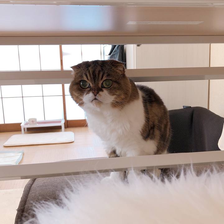 A7f4e2ef 397b 458b b331 aecab2d90ce5 1623752182766