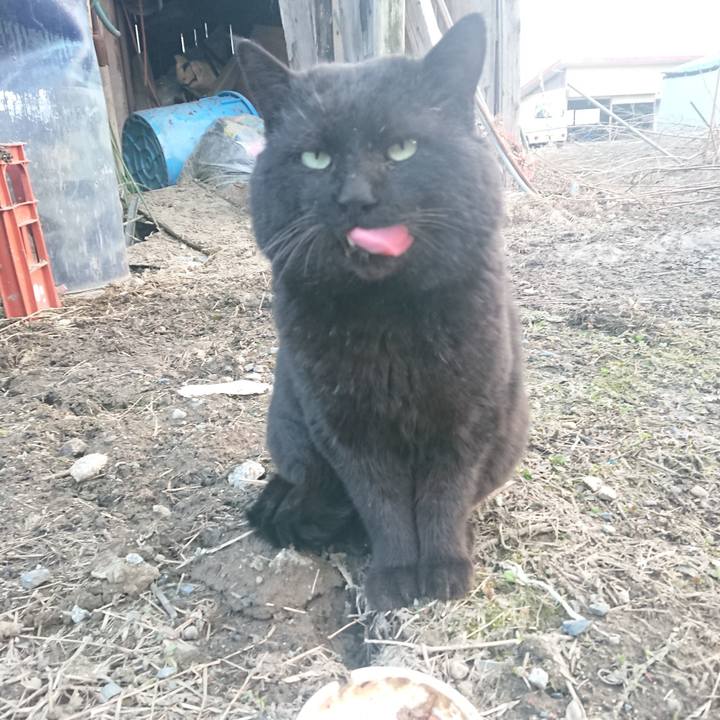 A7f500e5 e22e 4754 a672 659e88bbd1dc 1649236964679