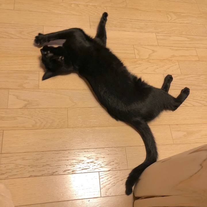 A7f544b7 e316 4371 82ed a0a422e96ed5 1541848705272