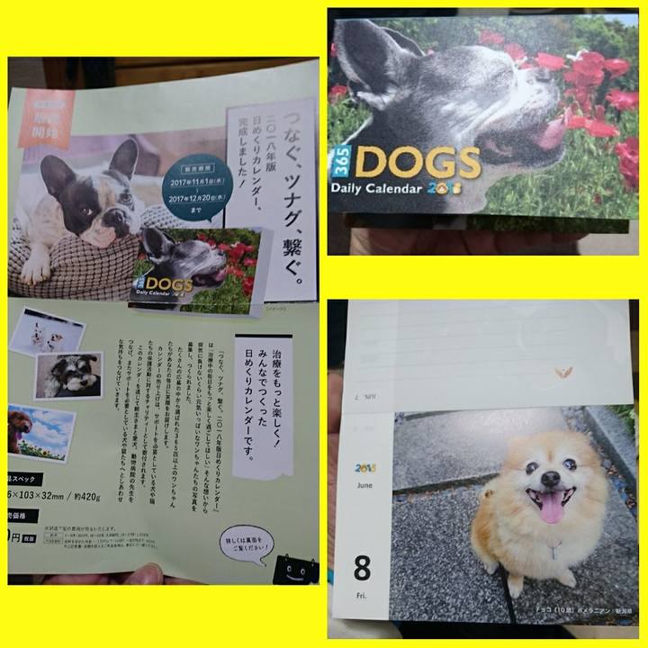 A7f5554c 76c4 4e6c 837e bbff76245e35 1510905671434