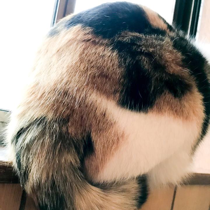 A7f56f21 6c18 4904 ab50 78b5464c7dbd 1521287198388