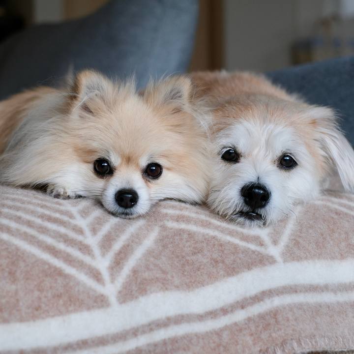 A7f59877 fcb1 4c97 a2fc 9d02b978f235 1761083214532