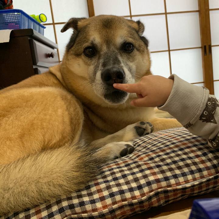 A7f5ab1c fe1b 465f bc06 d2a681d4d8c6 1578198630991