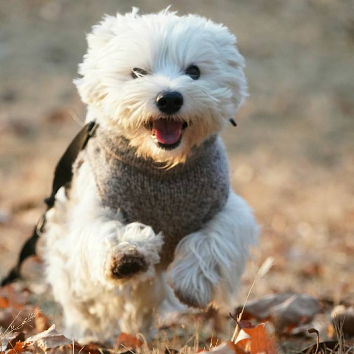 A7f5f047 5463 4938 afdf 831334c16058 1514281716501