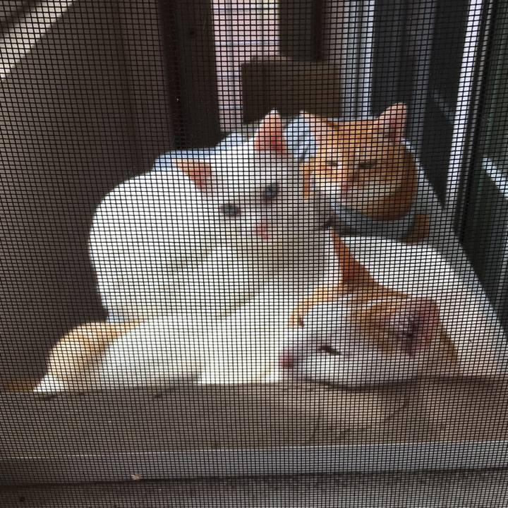 A7f5f27e 6b5e 4443 a45b 31a37fff86e9 1537682610056