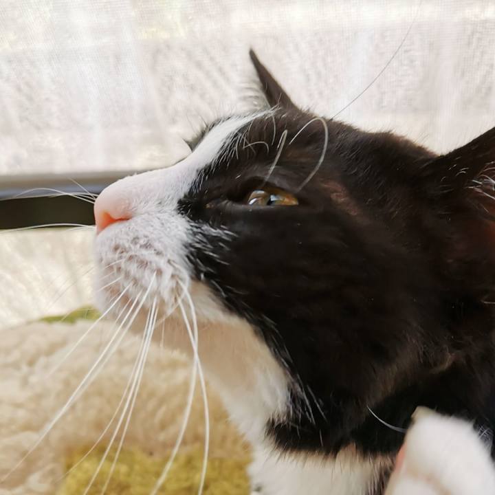 A7f6452b a65e 4402 ba78 b9fa2d4e69eb 1622518567442