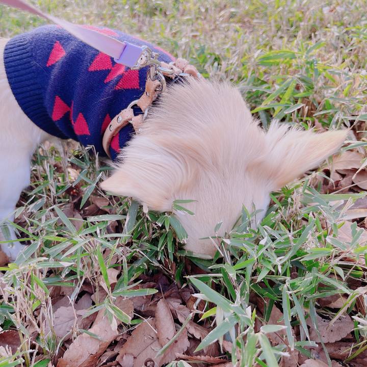 A7f6542b 1f51 45d5 9326 bc580a9af453 1676796869595