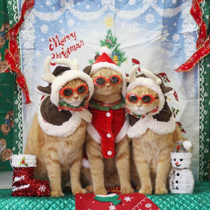 A7f68186 6011 467f a72a a7b998532dce 1671763340852