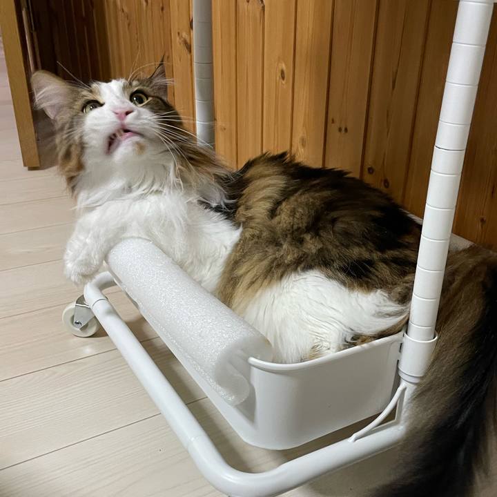 A7f699e2 f9fb 4b8d b287 c3e5fe56b6a4 1673474227329