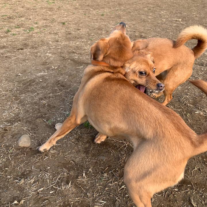 A7f69d86 fc9a 41de a645 5ef5d033071b 1578982086860