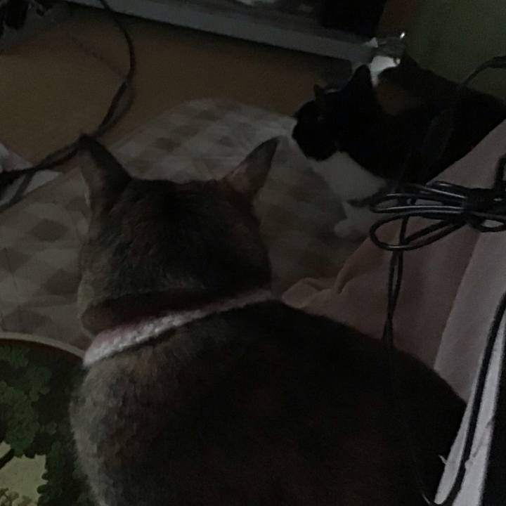 A7f6b030 c011 4724 ae56 fbedff1a567f 1669166897445