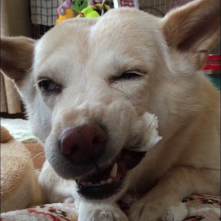 A7f6c4a8 6529 4a3a ac64 a092a204e491 1521097707322