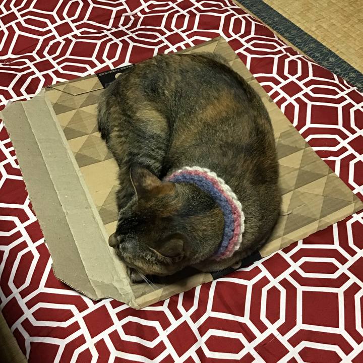 A7f6d3a3 e08e 4a43 9689 4bb5d4dcba6b 1625124332421