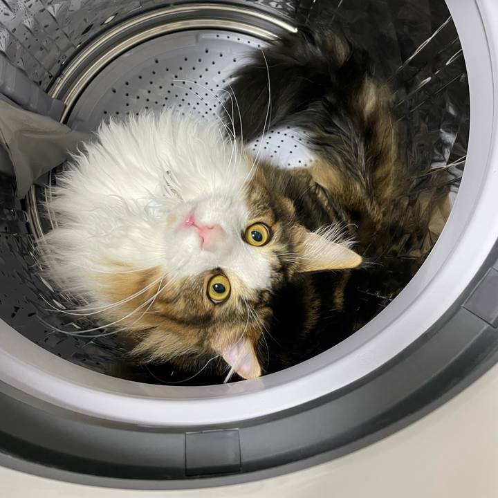 A7f6f4bb 6d16 4a53 9716 847e994c4c5e 1645048261320