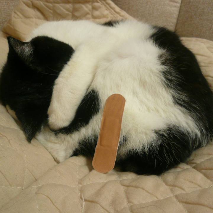 A7f6fae9 9419 4e2f b1be f1ebf65ffd97 1581338392383