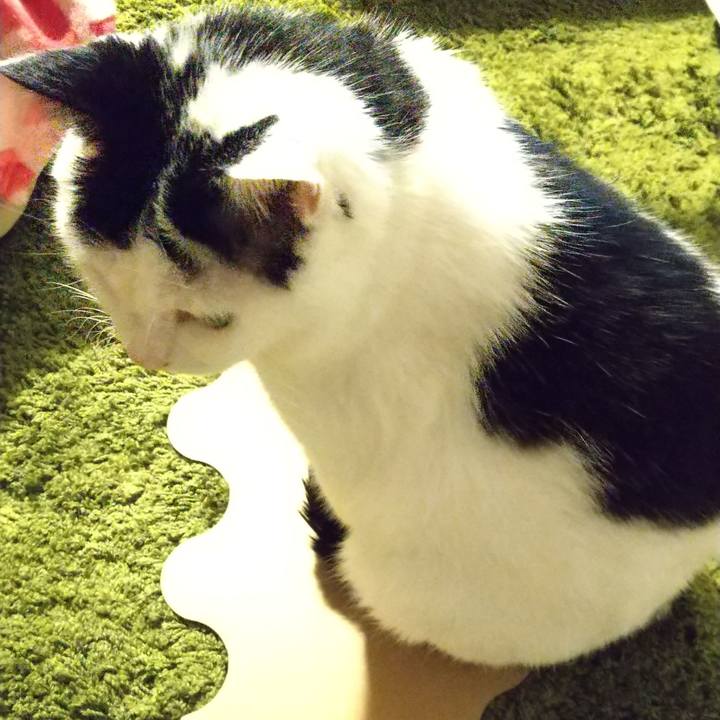 A7f72111 6037 442c 98be e86a374fb4c3 1606315549152