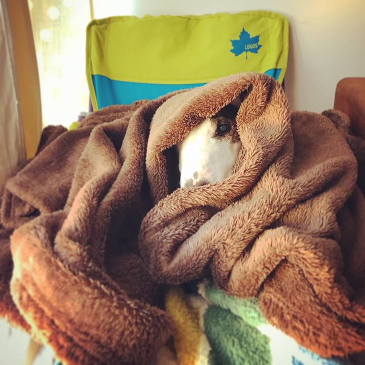 A7f734a6 7212 40c8 bee7 b0f8aa1a1a07 1518672538538