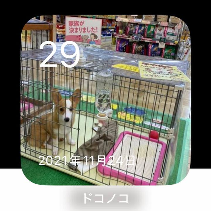 A7f7691e 4881 4601 bda5 90e23260fca6 1764417126506