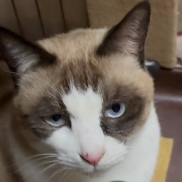 A7f79fe9 18e7 42f1 b04a e90ca233a7c8 1764671035942