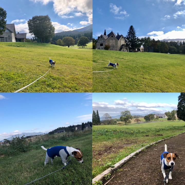 A7f7c73a a322 410d b52b ff96bd793424 1571224419428