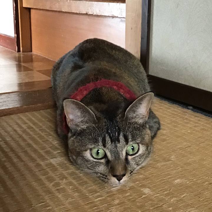 A7f7cf3e 0755 4005 a748 5c76cc1eaace 1601699661391